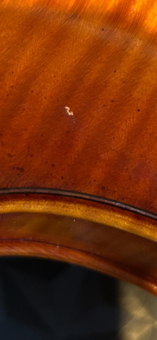 SUZUKI No.1200 4/4 エターナル バイオリン Anno 1983