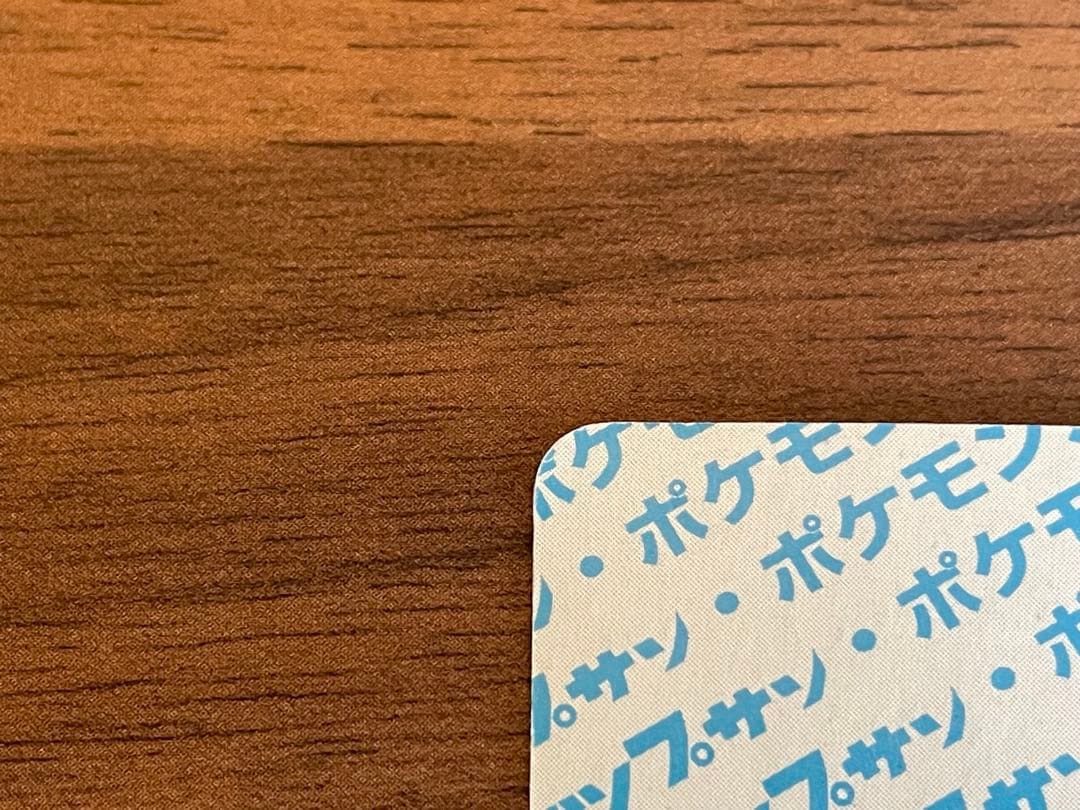 リザードン トップサン 裏青