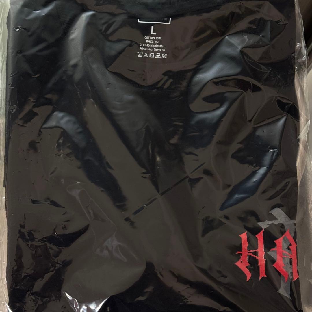 【即日発送】HANA ロゴTシャツ Lサイズ