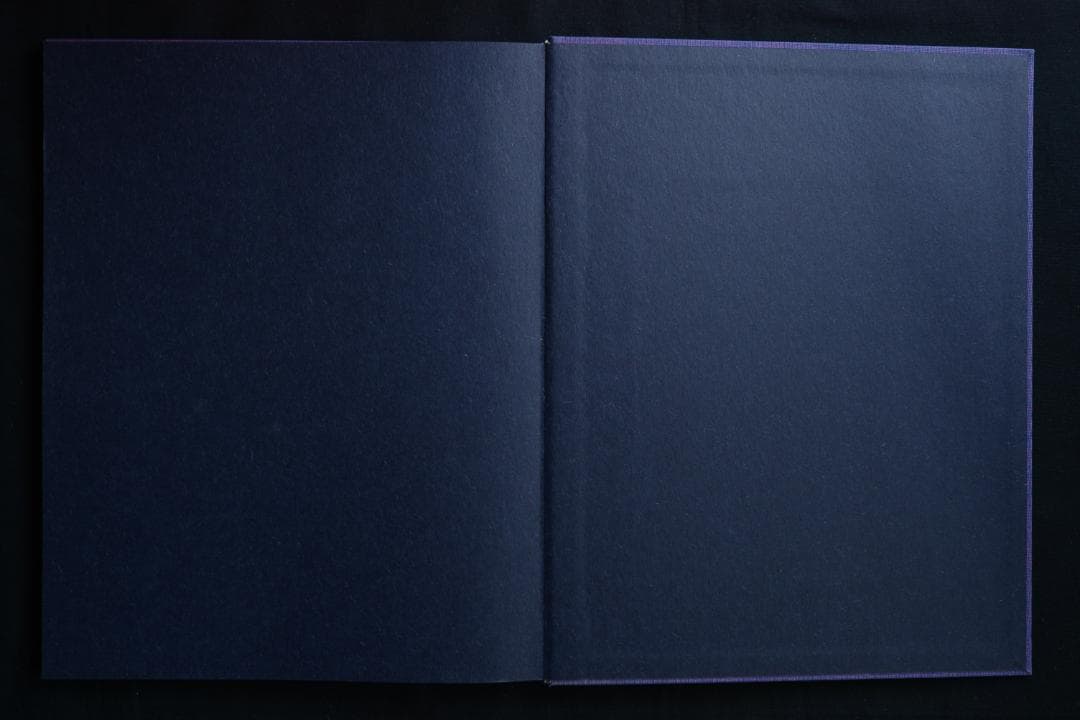 【Celine Van Balen 】 Remco Campert (著)