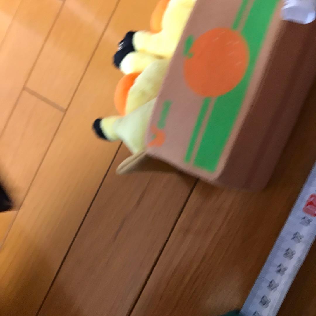 ペアピカチュウとえひめみかん　ぬいぐるみ　愛媛みかん　えひめみかん　愛媛　えひめ