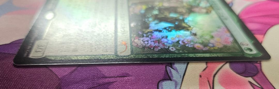 MTG 復活した精霊信者 ニッサ FOIL プロモ おまけつきセット 計5枚