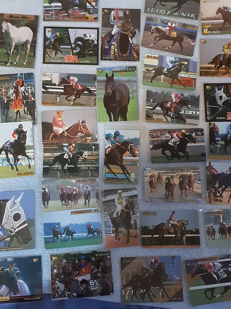 東ハト　競馬カード　テイエムオペラオーのフォルダ　カード200枚以上