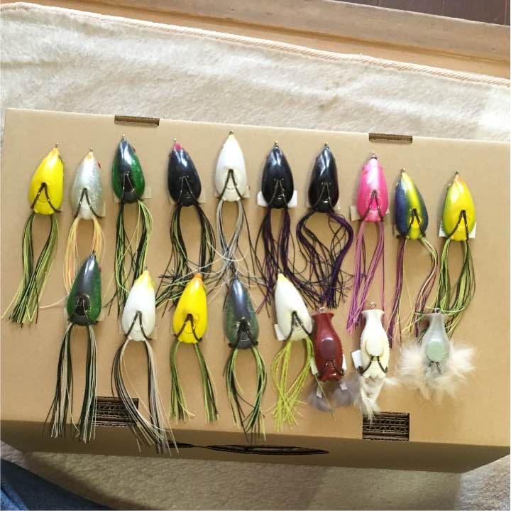 アイオビー