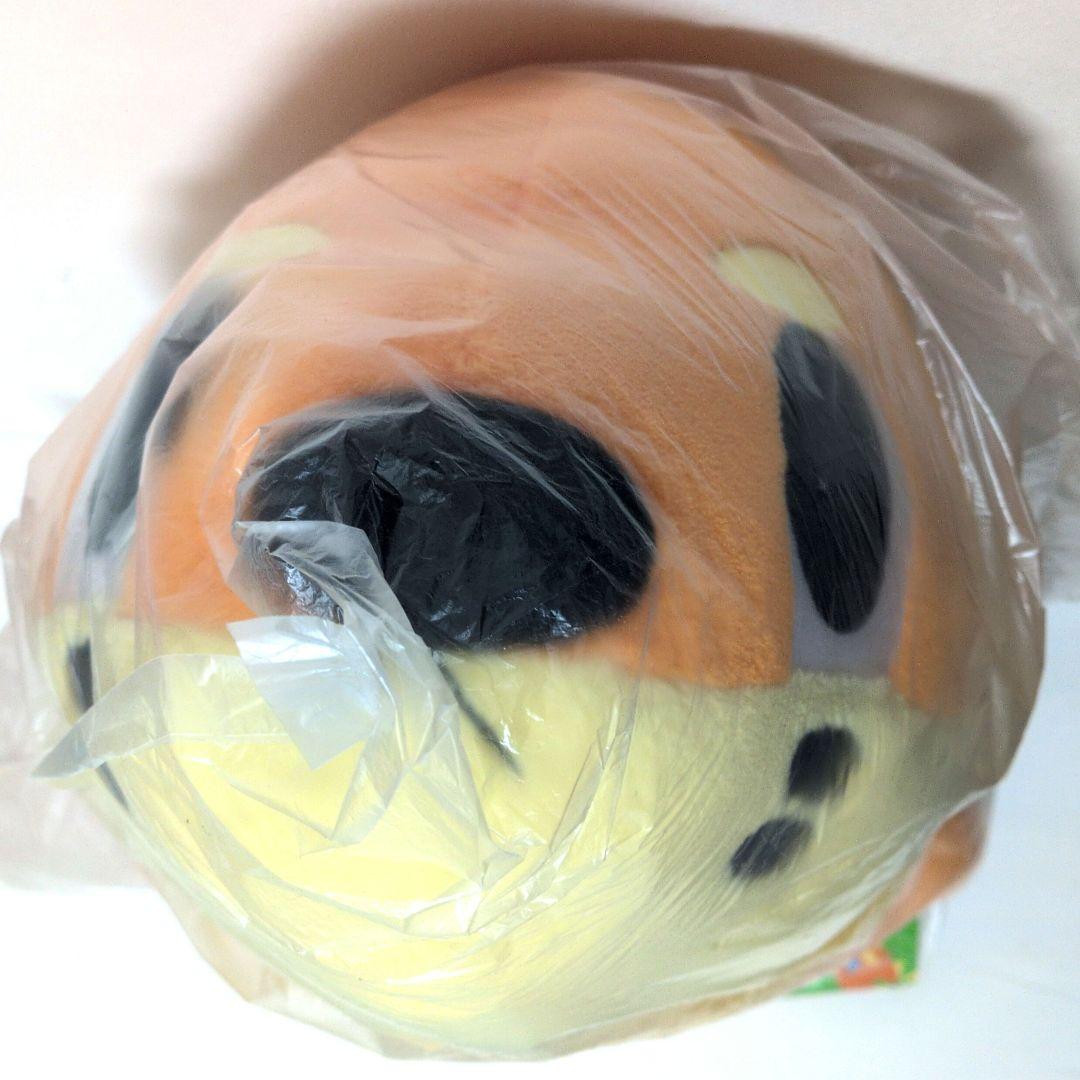 ポケモンセンター　ブイゼル　ぬいぐるみ　pokemon time　クッション