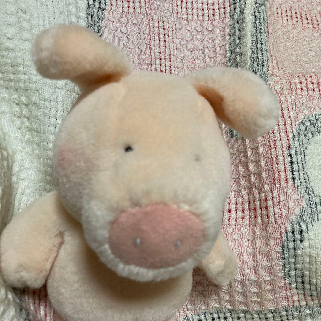 サンアロー　kipper ブタ　ぬいぐるみ　中古品