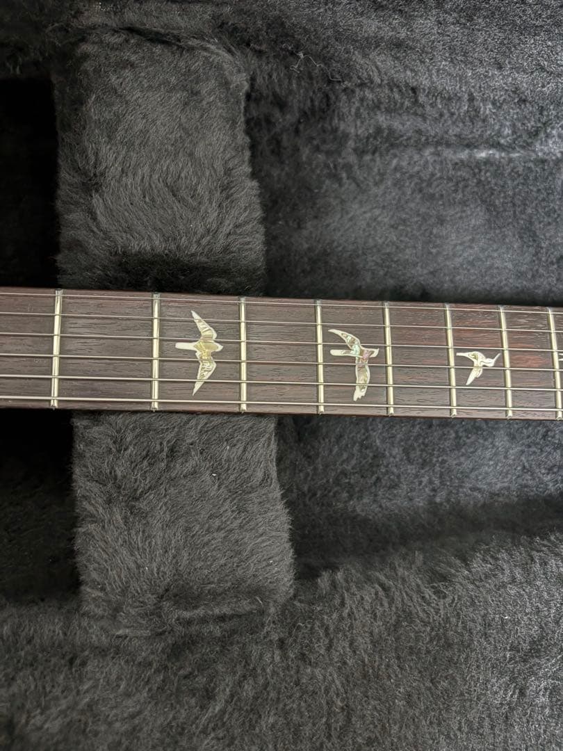 Paul Reed Smith(PRS) Custom 24 2015年製
