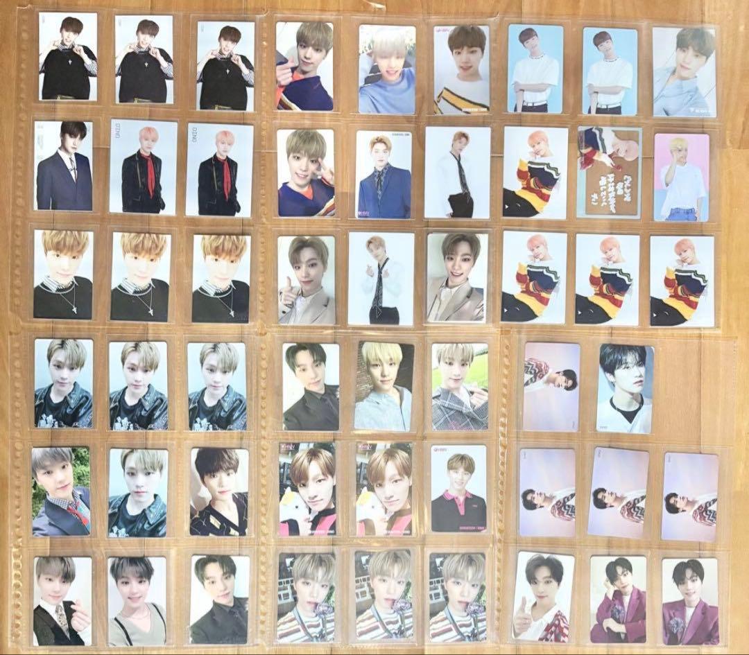 Seventeen ディノ