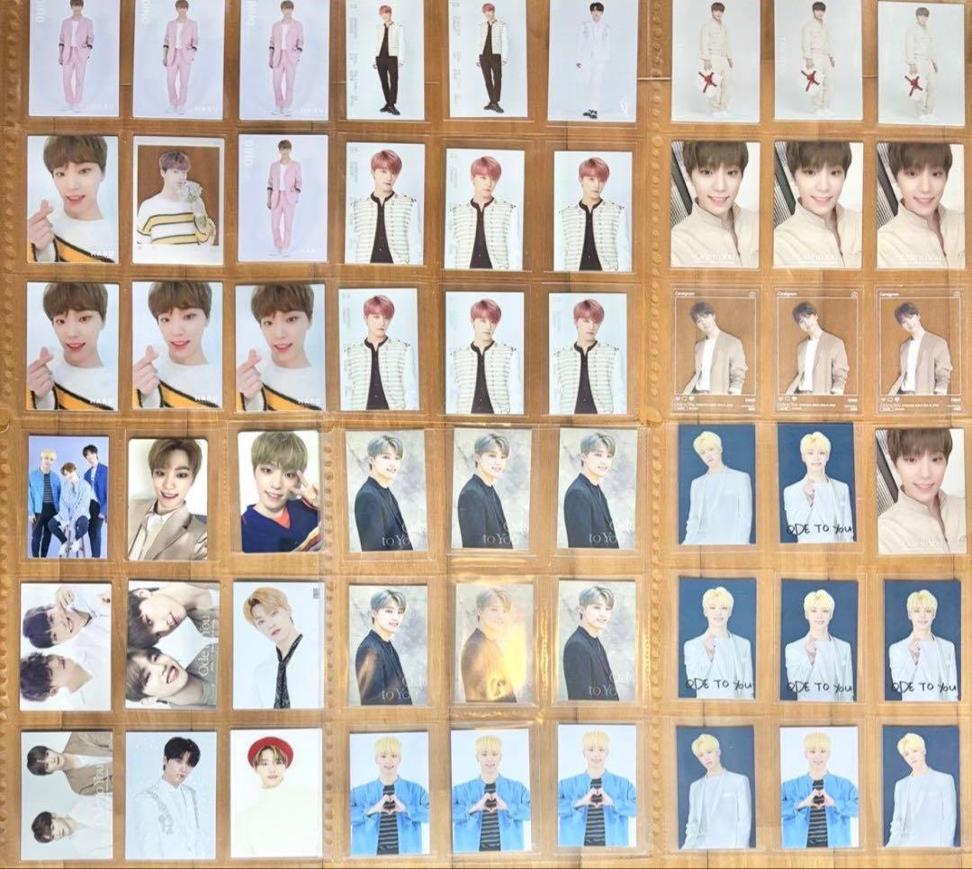 Seventeen ディノ