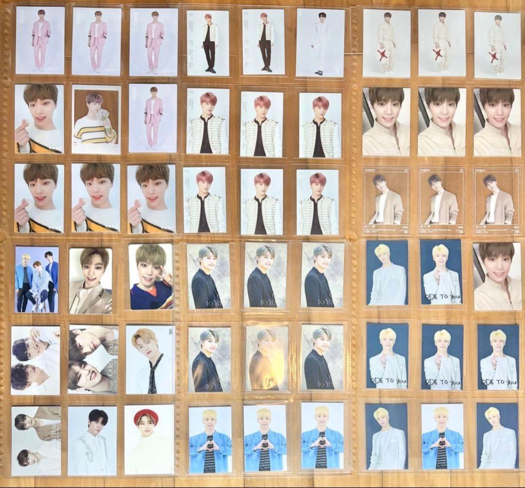 Seventeen ディノ