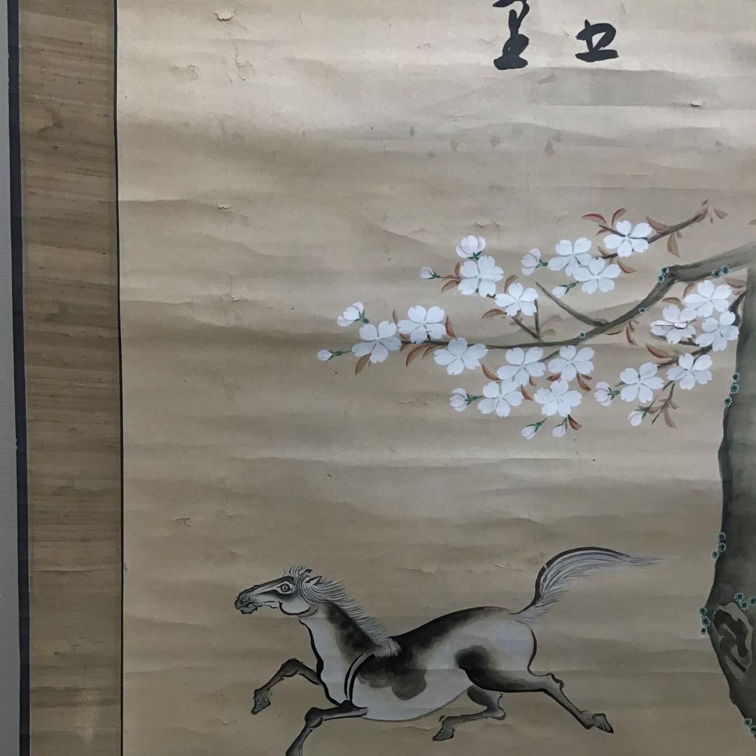 K茶道具　時代掛軸「桜馬図」　画:桜妙作　讃:忠香作　自作桐箱　S175KJ