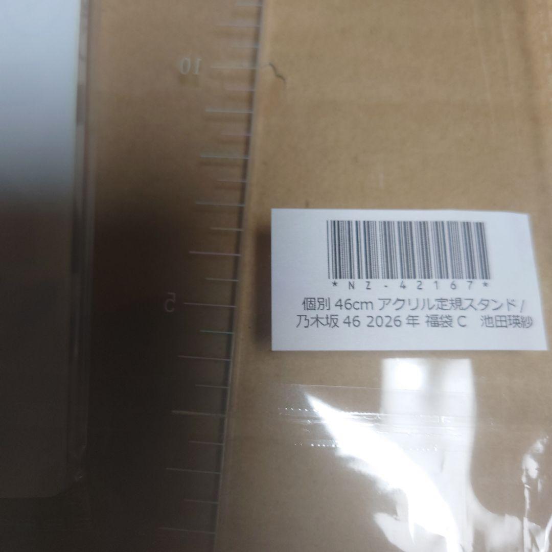 乃木坂46 井上和Cセット池田瑛紗CセットとAから4品