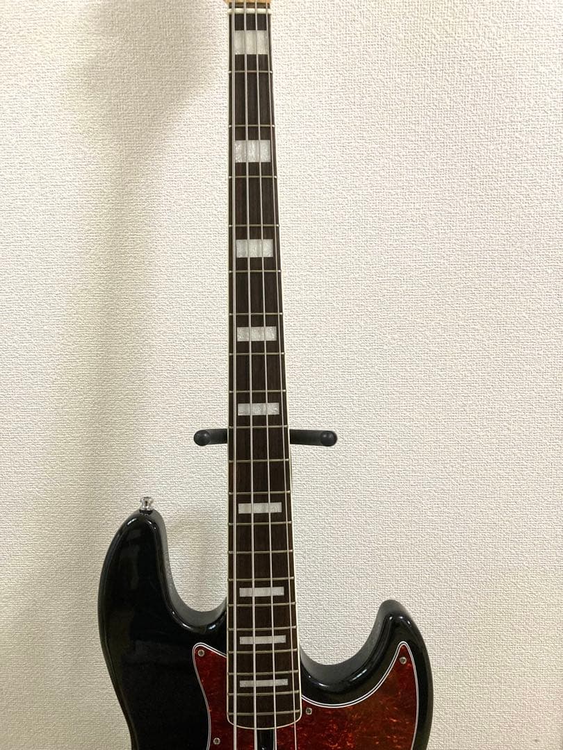 ベース SIRE V7