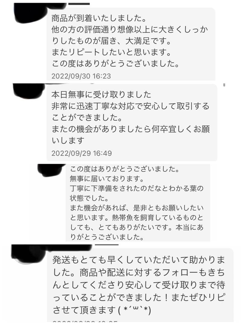 沖縄県やんばる産マジックリーフ 1kg UV殺菌灯照射済み①