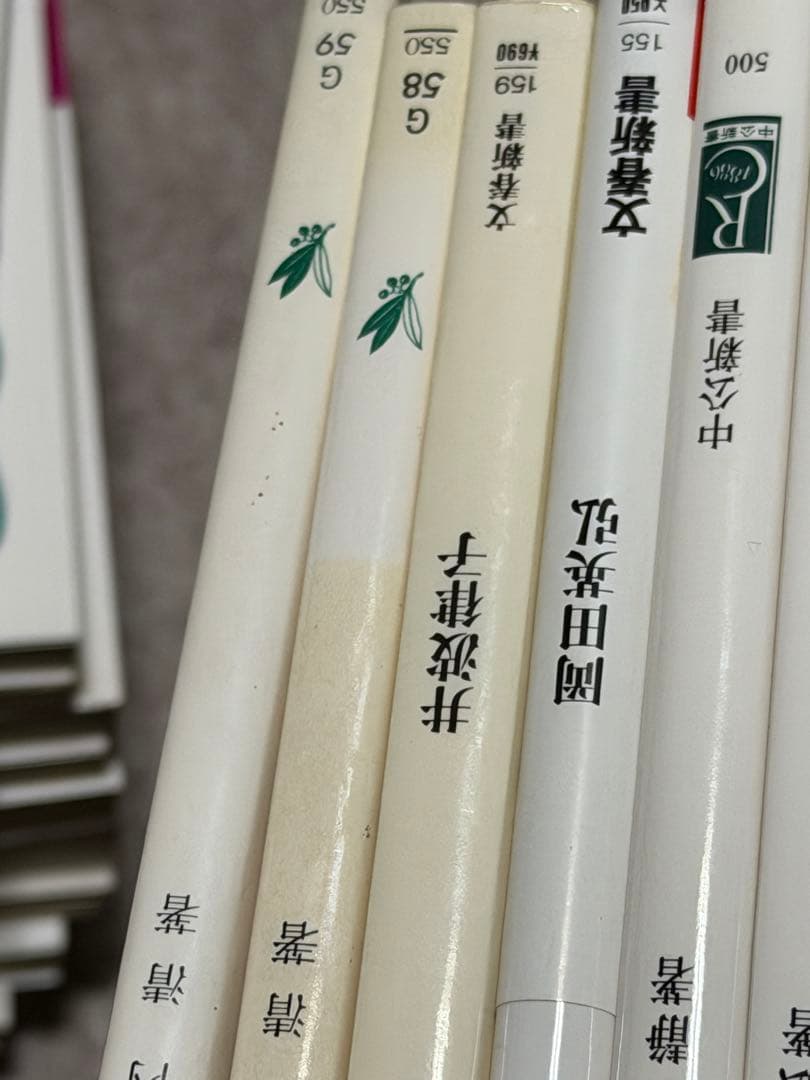 中公新書、岩波新書、など 59冊セット まとめ売り
