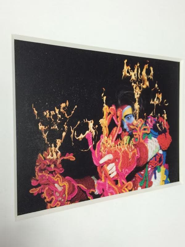 額装品/Bjork/ビョーク/Volta 2007年/アート