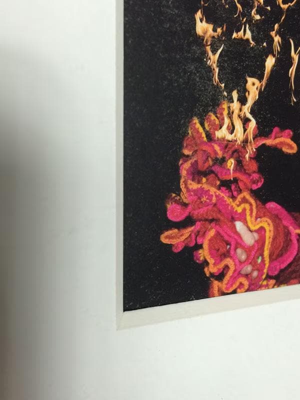 額装品/Bjork/ビョーク/Volta 2007年/アート
