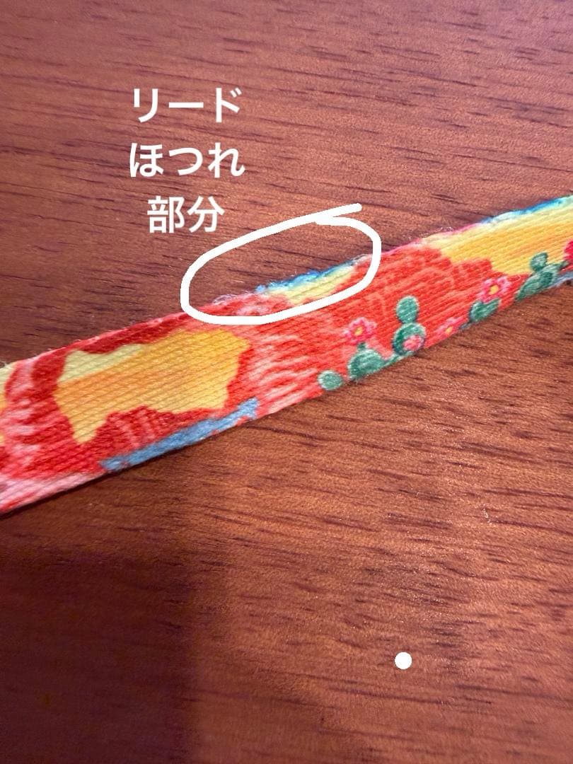 WOLFGANG PackLeader 3点 ハーネス、首輪、リード Sサイズ