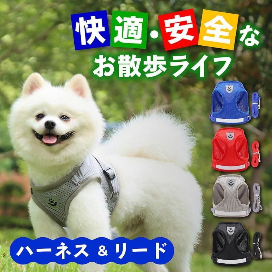 SS 即日発送2さん専用