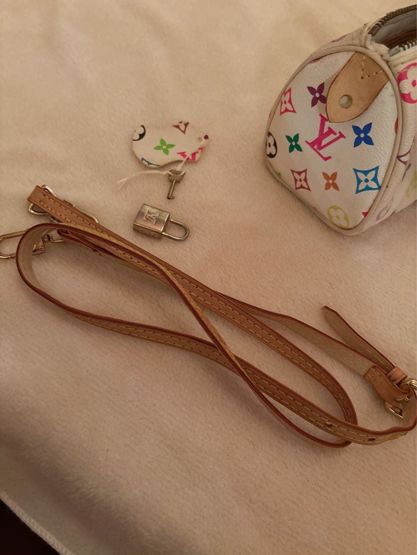 ノベルティLouis Vuitton マルチカラーミニスピーディショルダーバッグ