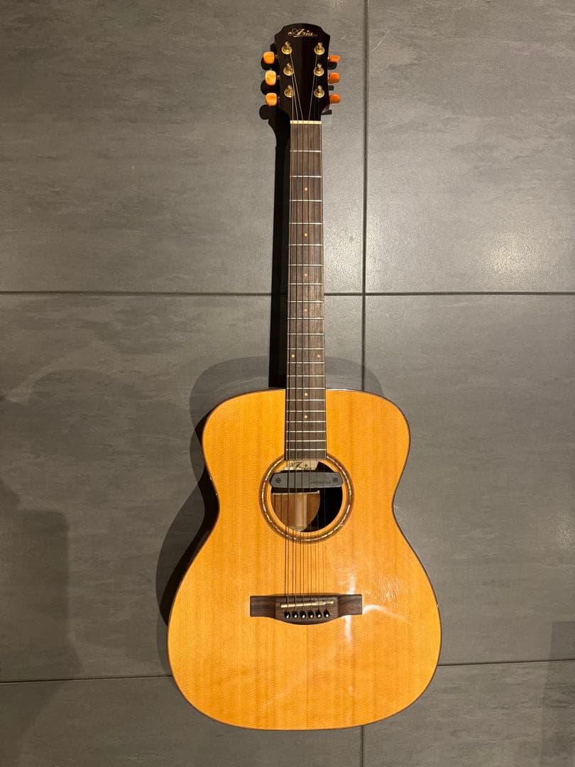 【セール中】Aria オール単板 Fishmanピックアップ付き ADF-CST