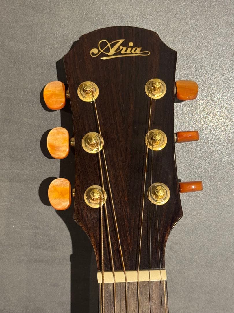 【セール中】Aria オール単板 Fishmanピックアップ付き ADF-CST