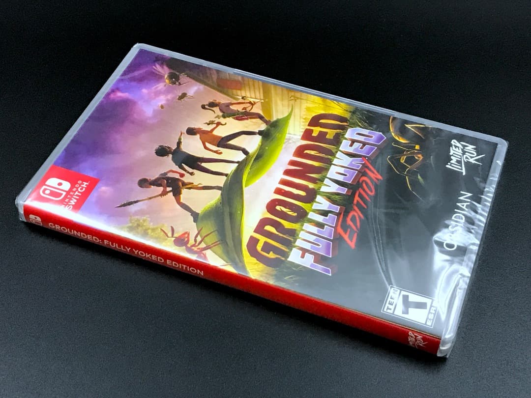 Grounded Fully Yoked Edition Switch スイッチ