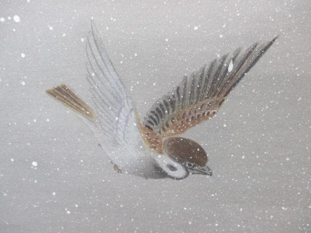 【未使用品】掛軸 鈴木銀嶺『南天に雀』日本画 紙本 箱付 掛け軸 L01413