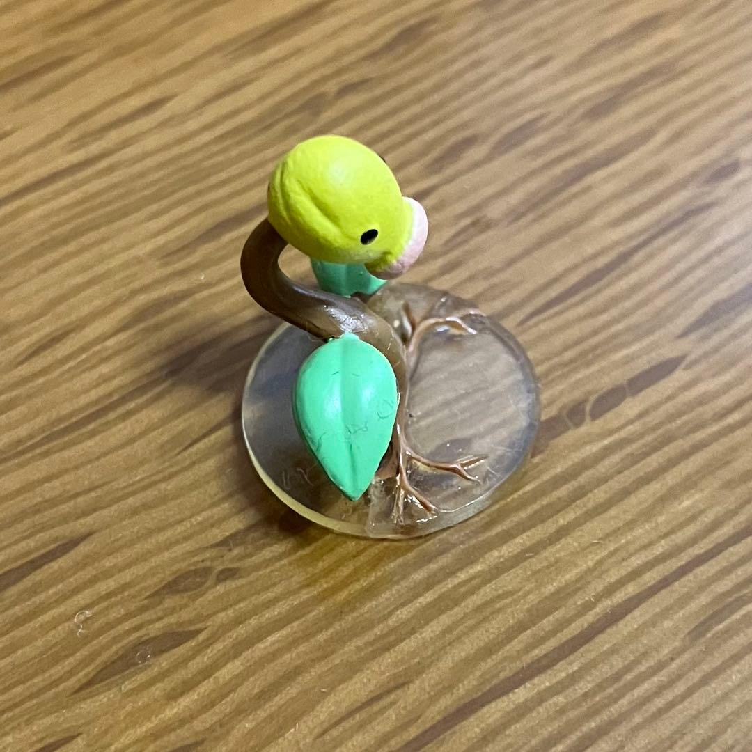 立体ポケモン図鑑　ウツボット　セット