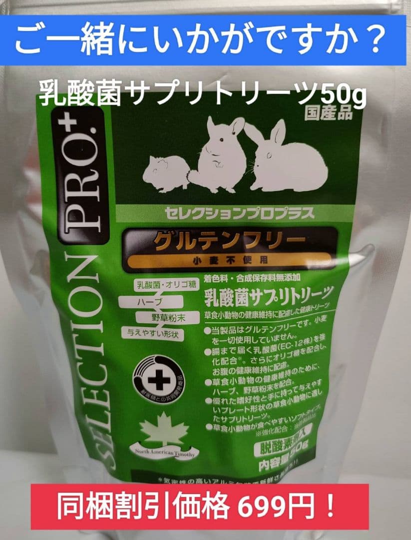 【まとめ買い大特価！】デグーセレクションプロ400g×10袋セッ200g 小袋付