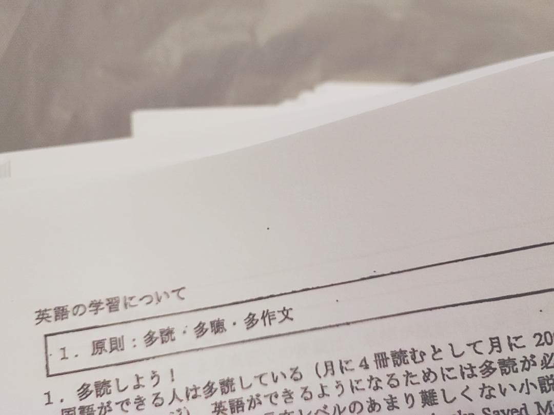駿台　英語構文S　プリントフルセット　竹岡広信先生　鉄緑会　河合塾　東進　SEG