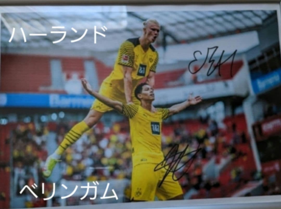 ハーランド　ベリンガム　直筆サイン　普通紙