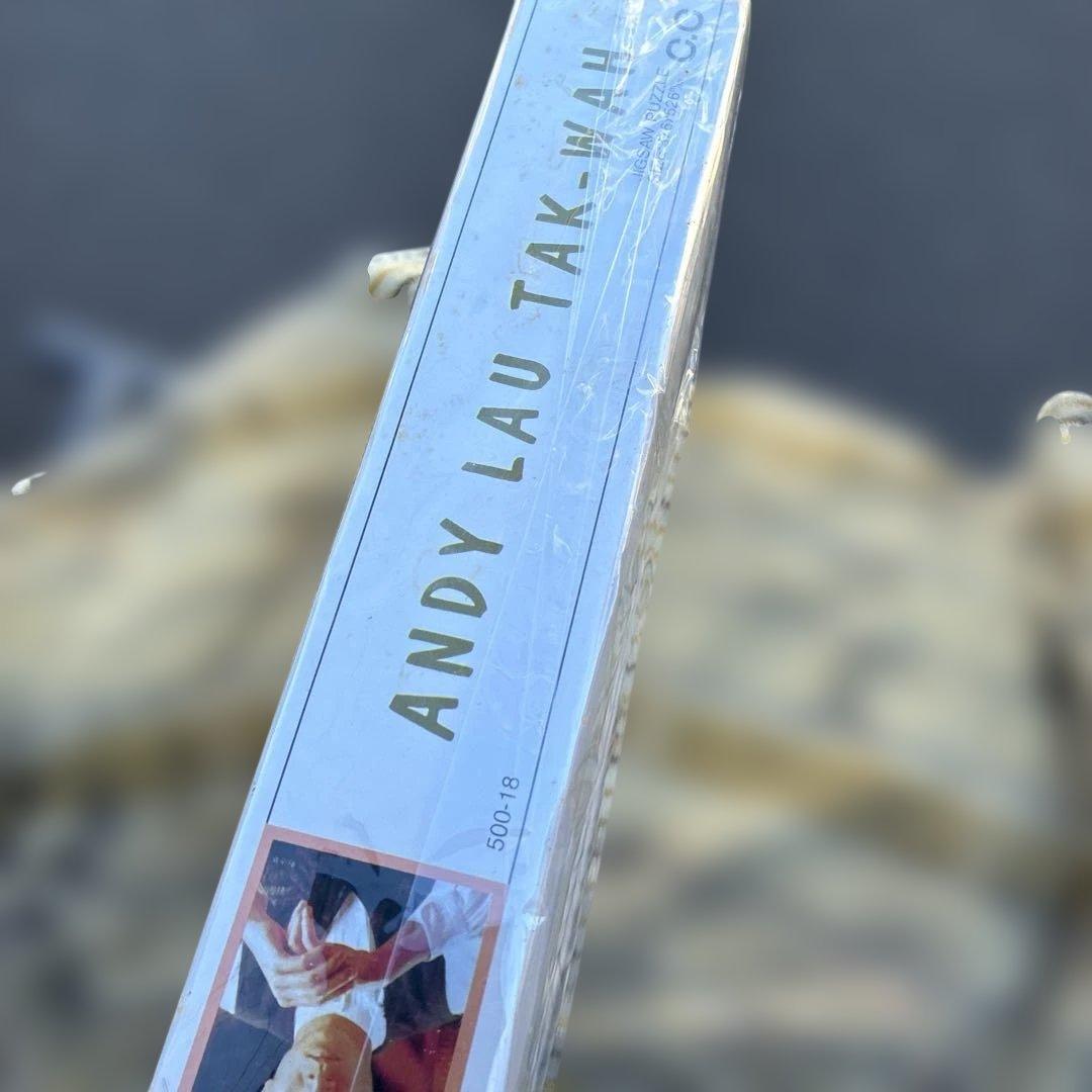 劉 徳華/アンディ・ラウ/Andy Lau 超希少品廃盤品パズル
