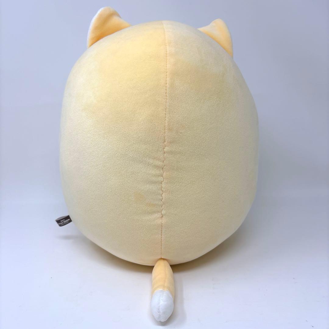 泣きむし猫のキィちゃん ましゅもっち BIGぬいぐるみ モフ缶 猫 希少