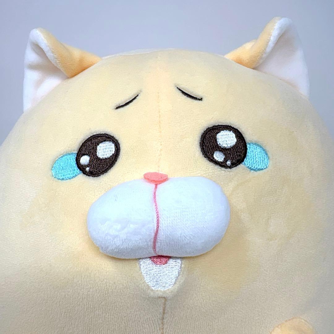 泣きむし猫のキィちゃん ましゅもっち BIGぬいぐるみ モフ缶 猫 希少