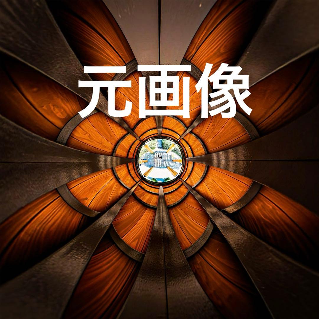 作品名「flower」 360度カメラで撮影して編集したアート作品です。