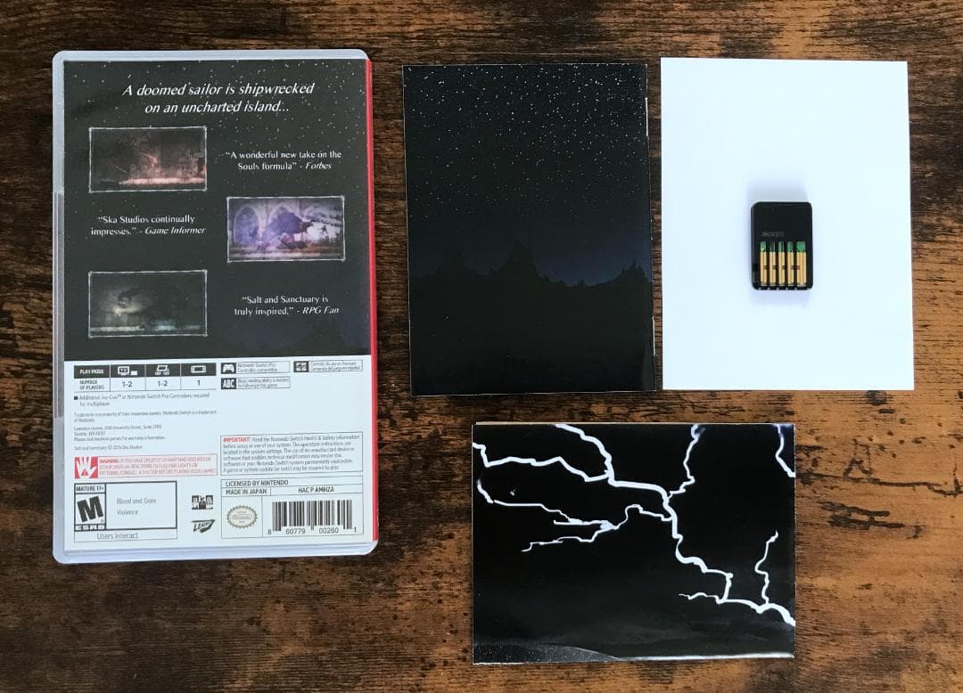 Salt and Sanctuary 完品 ソルト アンド サンクチュアリ