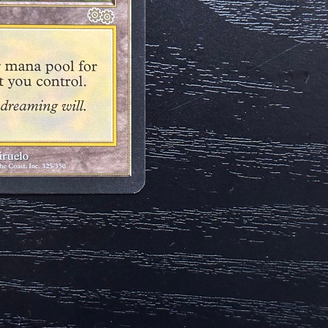 MTG セラの聖域 英語