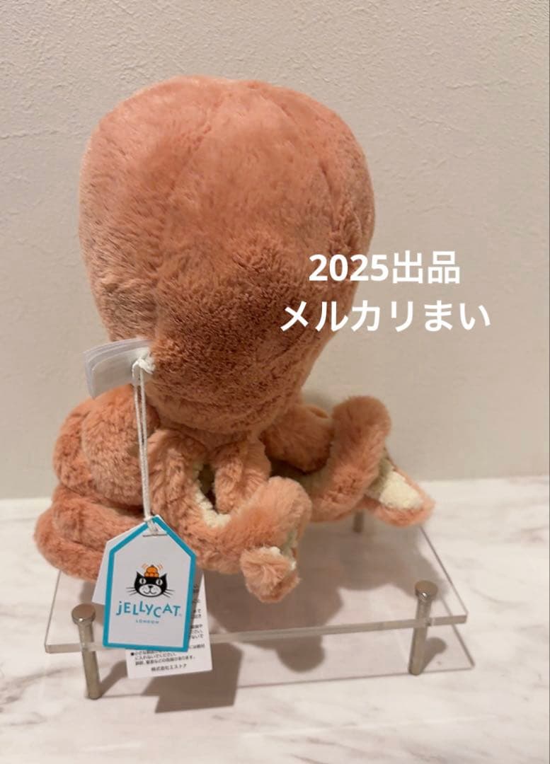  Little Odell Octopus タコ 肌色
