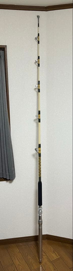 PENN INTERNATIONAL IGFA 2本セット ロッド