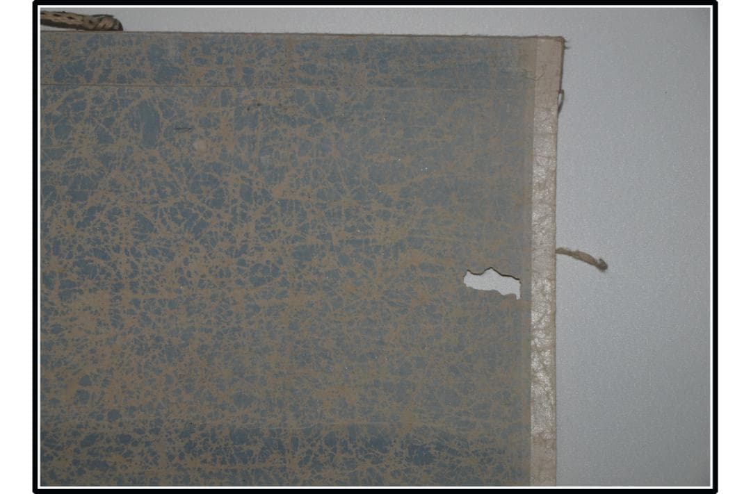 時代の掛軸　肉筆保証　蔵整理不用品処理　日本　中国 X1169C16-4