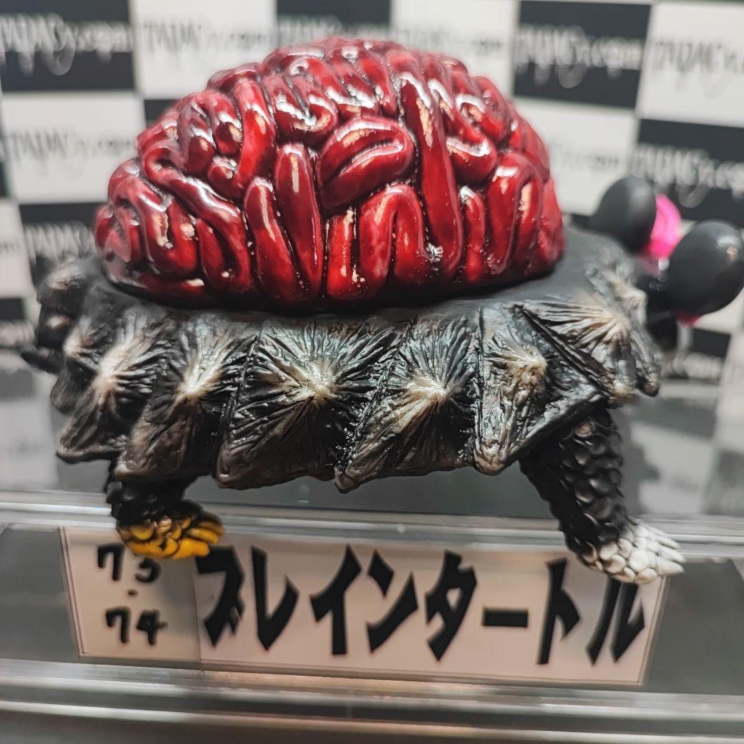 73.74ブレインタートルセット