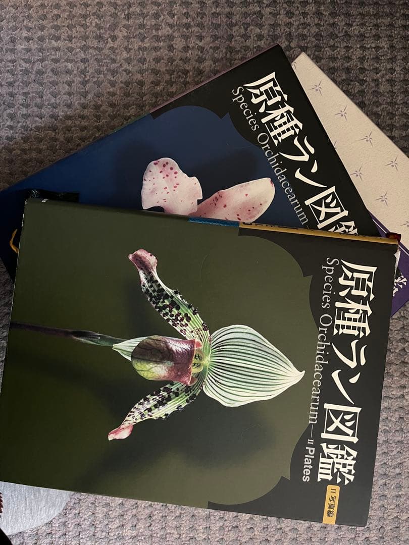 原種ラン図鑑 Species Orchidacearum