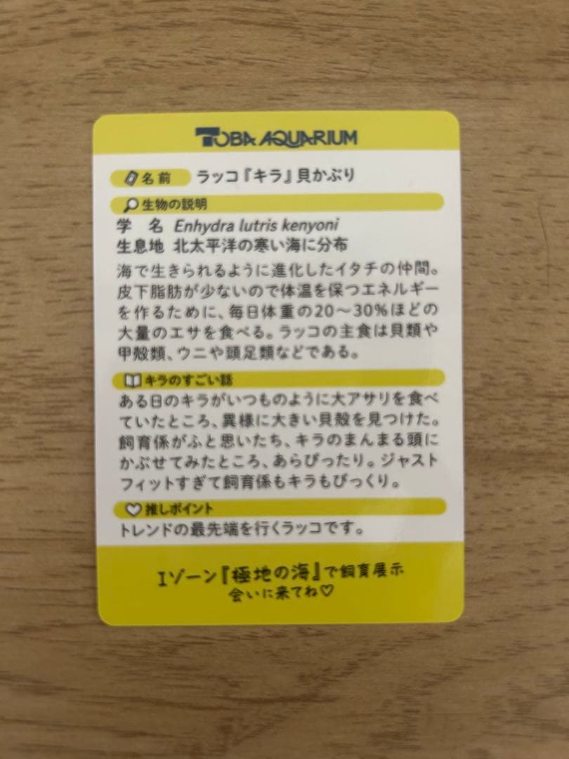 L*s様 ま*す様 鳥羽水族館　70周年記念コレクションカード　【キラ　貝かぶり