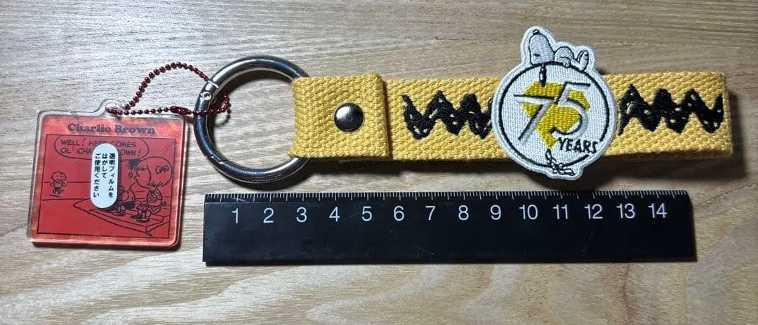 PEANUTS 75th アクリルマスコット付き刺繍タグ1月限定特価4種セット