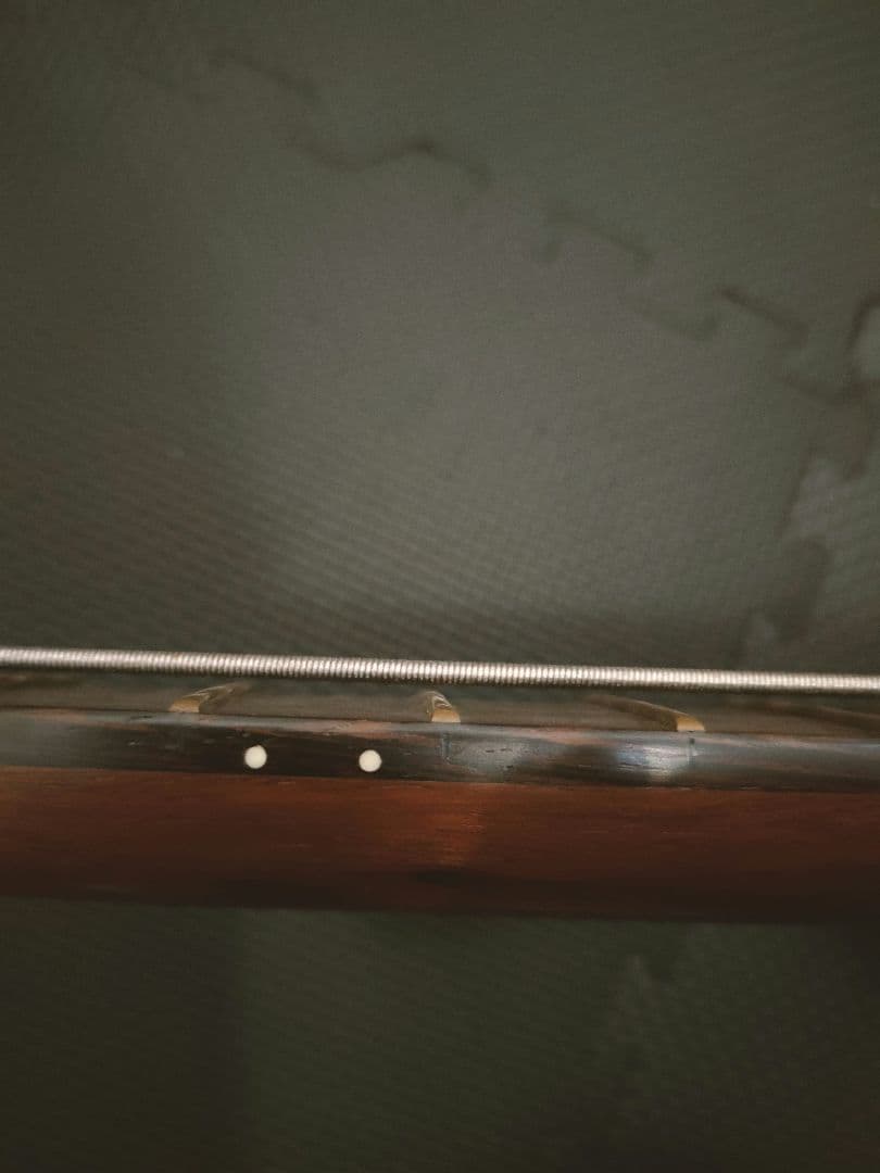 ワーウィック warwick proseries スタンダード STANDARD