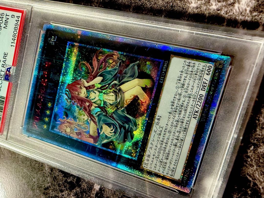 【希少品】アロメルスの蟲惑魔 20th