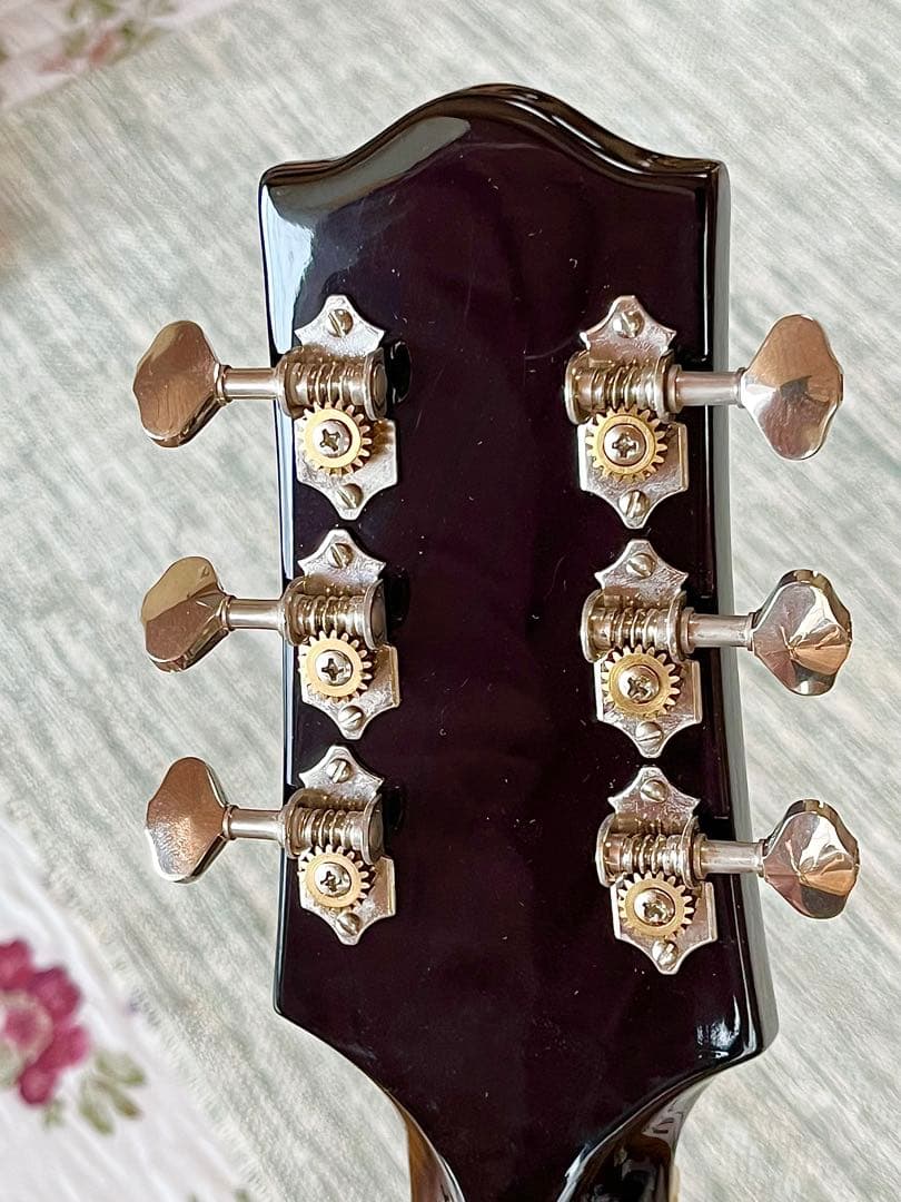 フルアコ Loar LH-700