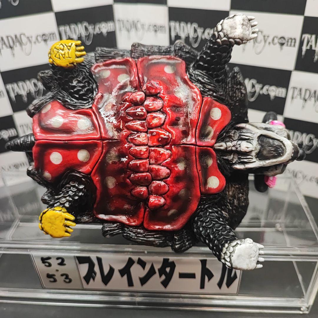 52.53ブレインタートル2体セット