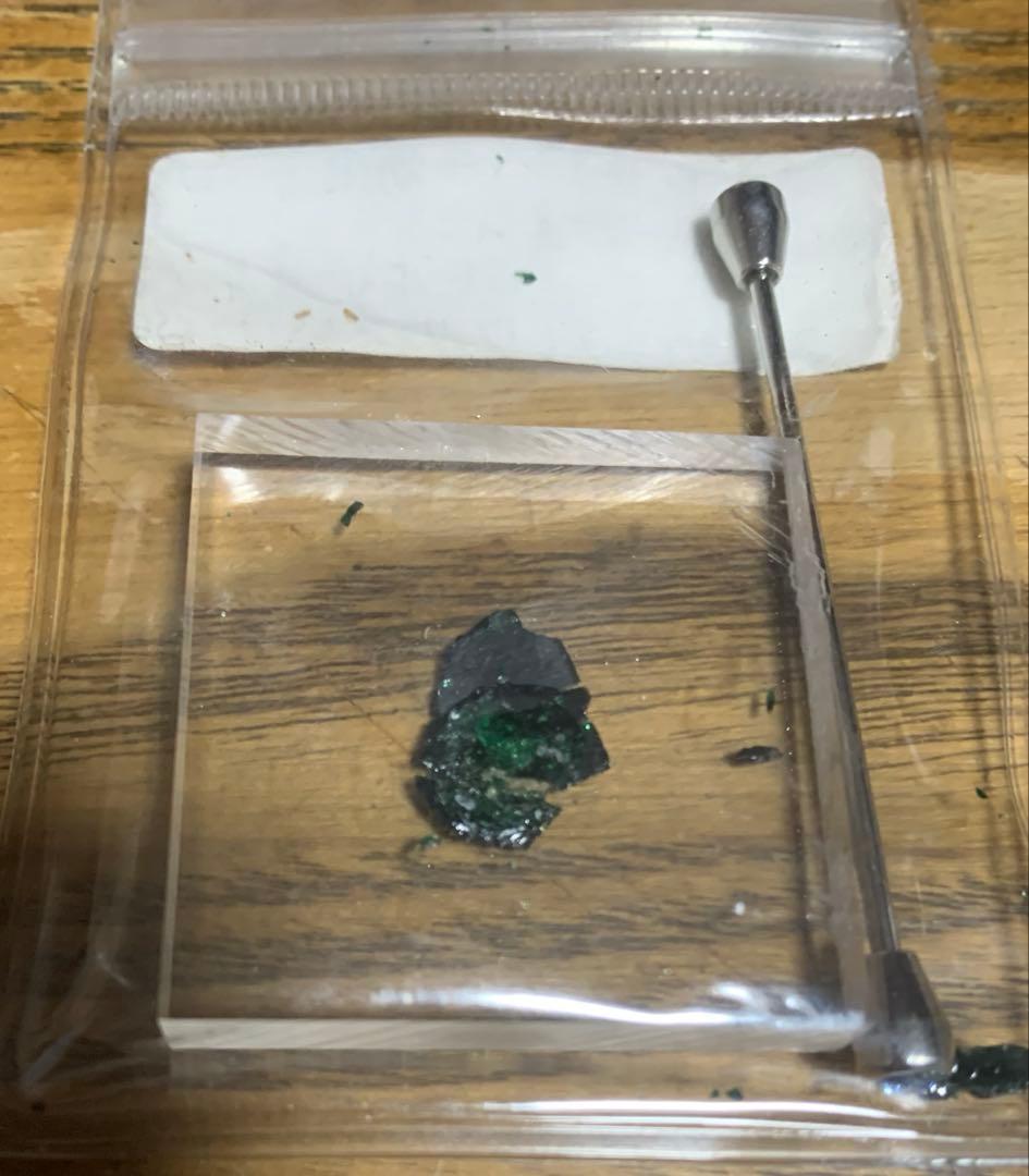化石　三葉虫　アンモナイト　シェルオパール　メガロドンの歯
